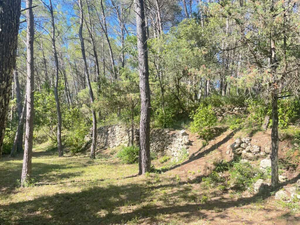 Le Mas des Sens, cadre naturel avec arbres et rochers dans la forêt.