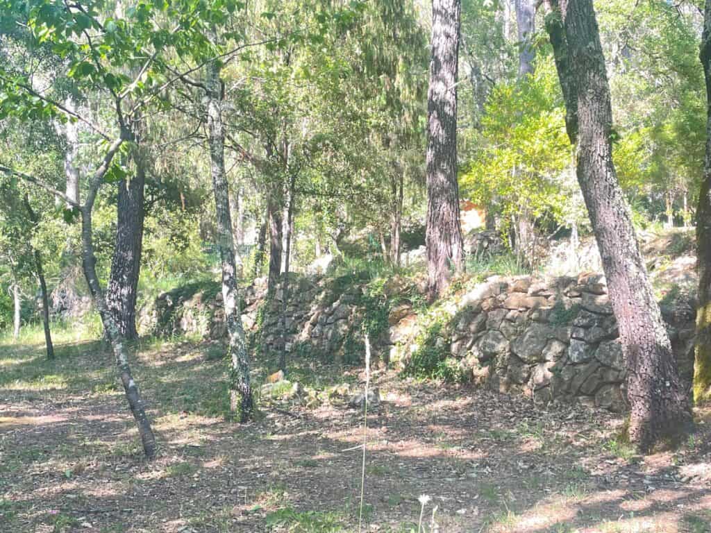Vue naturelle du Mas des Sens entouré d'arbres et de rochers.