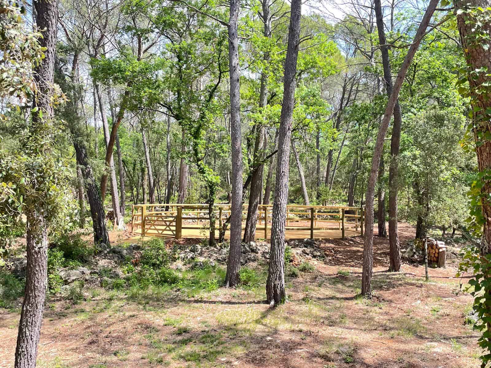 Arbre et clôture en bois dans la forêt au Mas des Sens, environnement naturel et paisible.